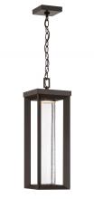  72797-143-L - Shore Pointe - LED Exterior Chain Hung