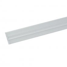  NTE-LIN2SASYLENS - 2-ft Single Asymmetrical Lens for T-Line Linear LED Track