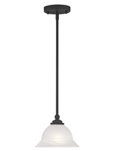  4256-04 - 1 Light Black Mini Pendant