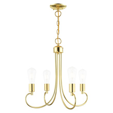  42924-02 - 4 Lt Polished Brass Chandelier