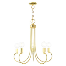  42925-02 - 5 Lt Polished Brass Chandelier