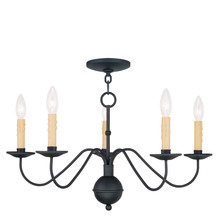 Livex Lighting 4495-04 - 5 Light Black Chandelier