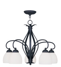  4775-04 - 5 Light Black Chandelier