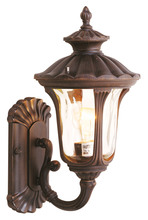  7650-58 - 1 Light IB Outdoor Wall Lantern