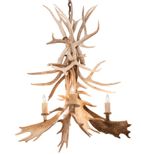  212272 - 28" Wide Antlers White Tail & Fallow Deer 4 Light Chandelier