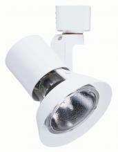  R531 WH - 50W Par Gimbal White