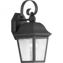  P560010-031 - Kiawah Collection One-Light Small Wall-Lantern