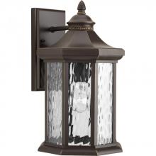  P6072-20 - Edition Collection One-Light Large Wall Lantern