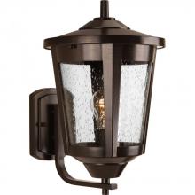  P6075-20 - East Haven Collection One-Light Large Wall Lantern