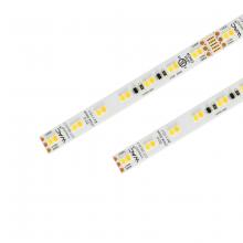  T24-CS10-05-2750WT - InvisiLED® CCT - Color Temperature Adjustable LED Tape