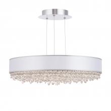  S6324-401RS1 - Eclyptix LED 24in 3000K/3500K/4000K 120V-277V Pendant in Polished Stainless Steel with Clear Radia