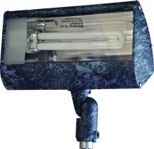  DF5970-VG - FLOOD LIGHT 13W PL 120V