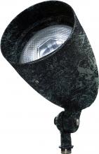  DPR38-GL-LED12-VG - PAR38 SPOT LIGHT WITH GLASS CVR 12W RGBW LED FLOOD 120