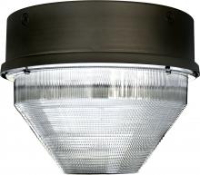  DW8720-MT - MED ROUND CEILING FIX 70W HPS MT