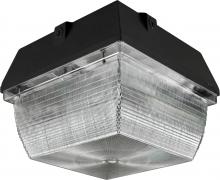  DW8900-MT - MED CEILING FIX 100W HPS MT