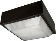  DW9260-BZ-MT - LARGE CEILING FIX 400W HPS MT