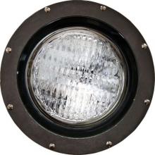  FG4200 - FIBERGLASS WELL LIGHT PAR38 120V