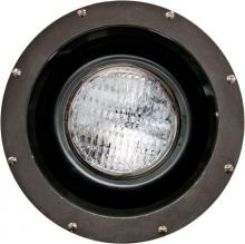  FG4300 - FIBERGLASS WELL LIGHT PAR38 120V