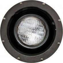  FG4310 - FIBERGLASS WELL LIGHT 70W HPS 120V