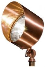  LV30-LED9-CP - SOLID BRASS SPOT LIGHT 9W LED PAR36 12V