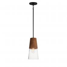  91620CLWNBK - Carpenter-Mini Pendant