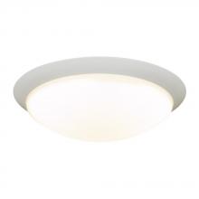  1100WH - 1 light ceiling light from the Max collection