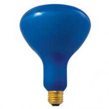 Bulbrite 710415 - 150R40PG