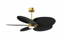  AKTPLK-BRBR-BK - Alessandra Tropical 5-blade ceiling fan in Brushed Brass and Matte Black blades.