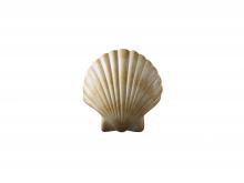  CER-3730-SEAS - ADA Scallop Shell