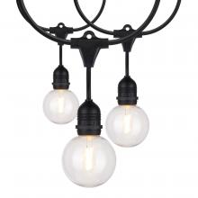  S8034 - 24Ft; LED String Light; Includes 12-G25 bulbs; 2200K; 120 Volts