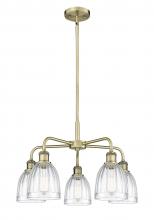  516-5CR-AB-G442 - Brookfield - 5 Light - 24 inch - Antique Brass - Chandelier