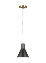  6141301EN3-848 - One Light Mini-Pendant