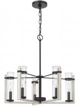  FX-3751-5 - 60Wx  5 Olivette metal chandelier with glass shade