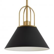 Hunter 13163 - Hunter Carrington Isle Matte Black and Luxe Gold 1 Light Medium Pendant Ceiling Light Fixture