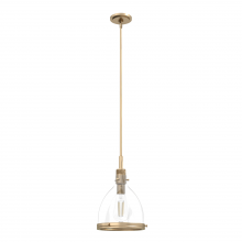 Hunter 19345 - Hunter Van Nuys Alturas Gold with Clear Glass 1 Light Pendant Ceiling Light Fixture