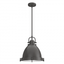 Hunter 19103 - Hunter Bridgemoor Noble Bronze with Clear Holophane Glass 2 Light Pendant Ceiling Light Fixture