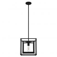 Hunter 19406 - Hunter Doherty Natural Black Iron 1 Light Medium Pendant Ceiling Light Fixture