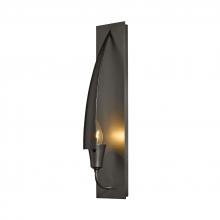  207420-SKT-07 - Cirque Sconce