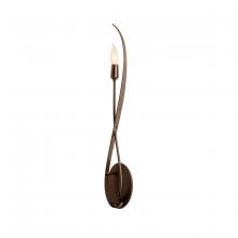  209120-SKT-05 - Willow Sconce