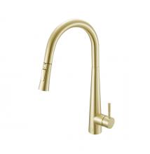  FAK-301BGD - Lucas Single Handle Pull Down Sprayer Kitchen Faucet in Brushed Gold