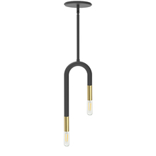  WAN-152P-MB-AGB - 2 Light Incandescent Pendant, Matte Black and Aged Brass