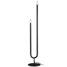  WAN-602F-MB - 2 Light Incandescent Floor Lamp, Matte Black