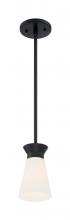  60/7314 - Caleta - 1 Light Mini Pendant with Cylindrical Glass - Black Finish