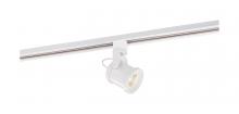  TH491 - LED; 12 Watt Forged Track Head; White; 36 deg. Beam Angle