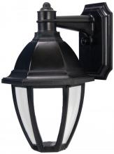  S21VF-LR12W-BK - EVERSTONE WALL LANTERN