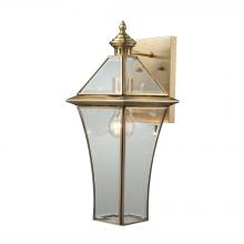  22031/1 - Riverdale 1-Light Outdoor Wall Lamp in Brushed Brass